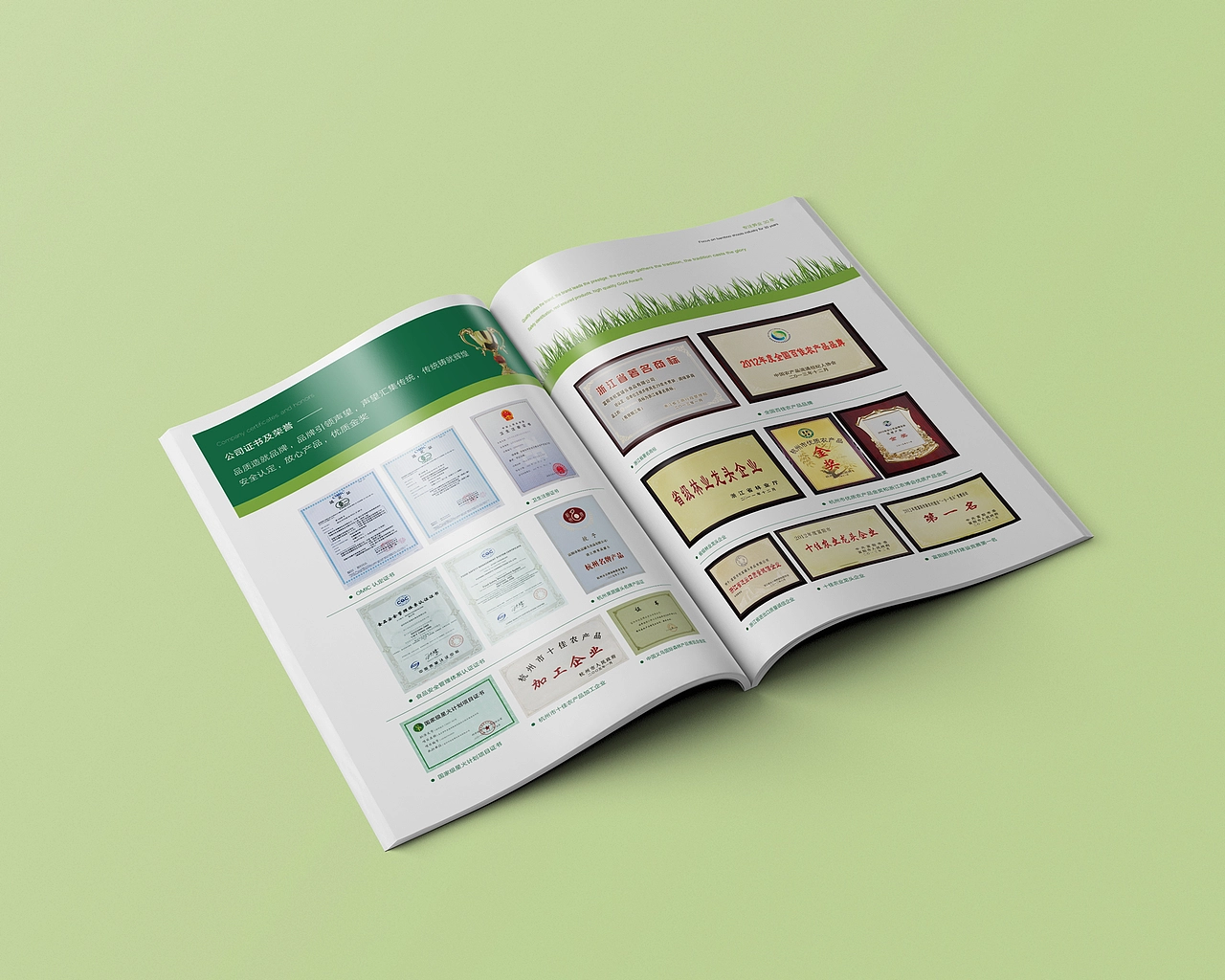 食品画册