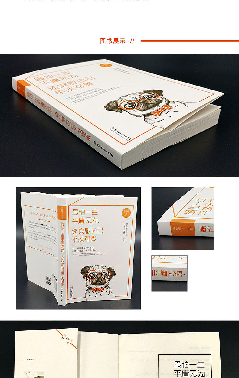图书最怕一生平庸无为还安慰自己平淡可贵详情页