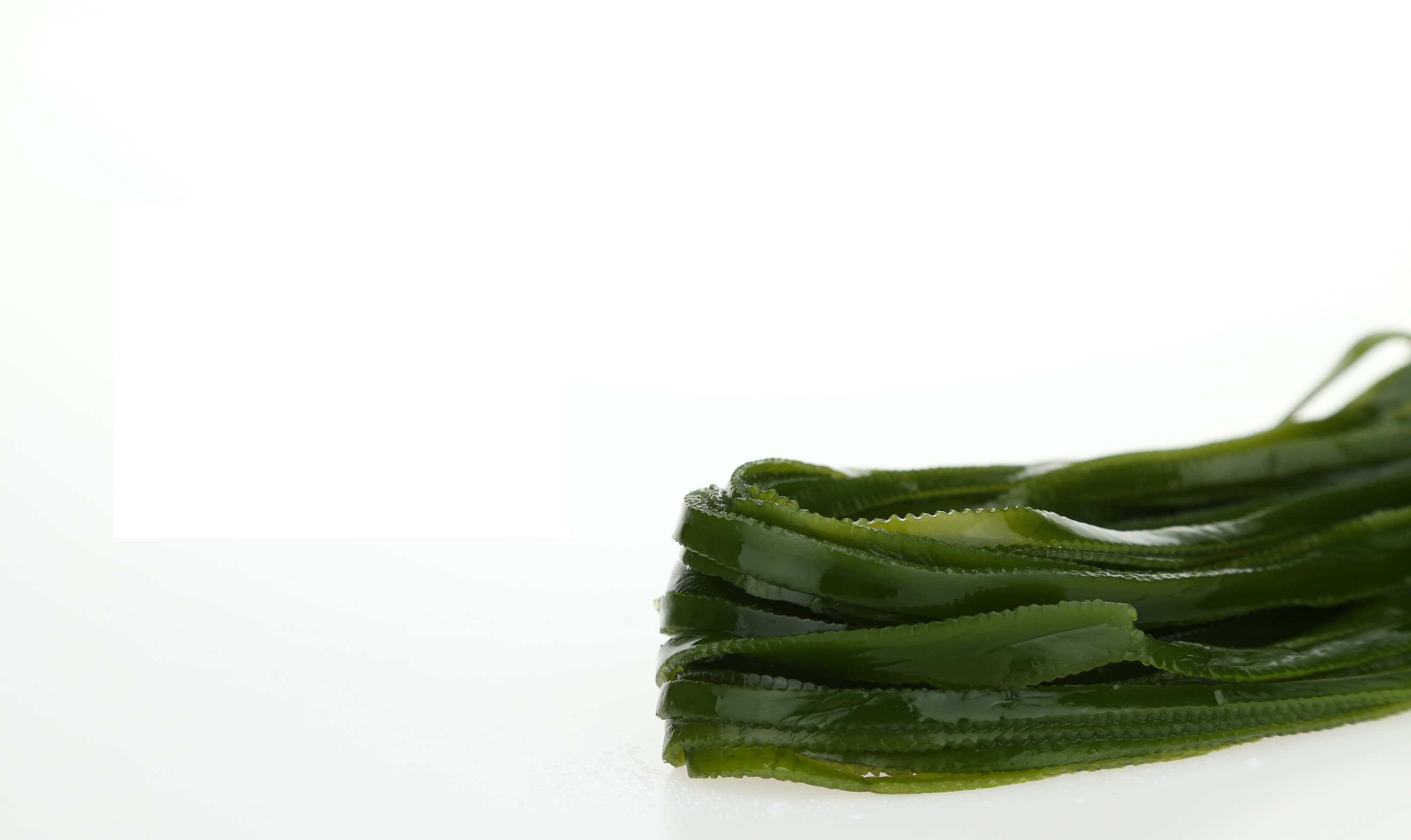 海带拍摄|摄影|产品|arisyu1991 - 原创作品 - 站酷 (zcool)