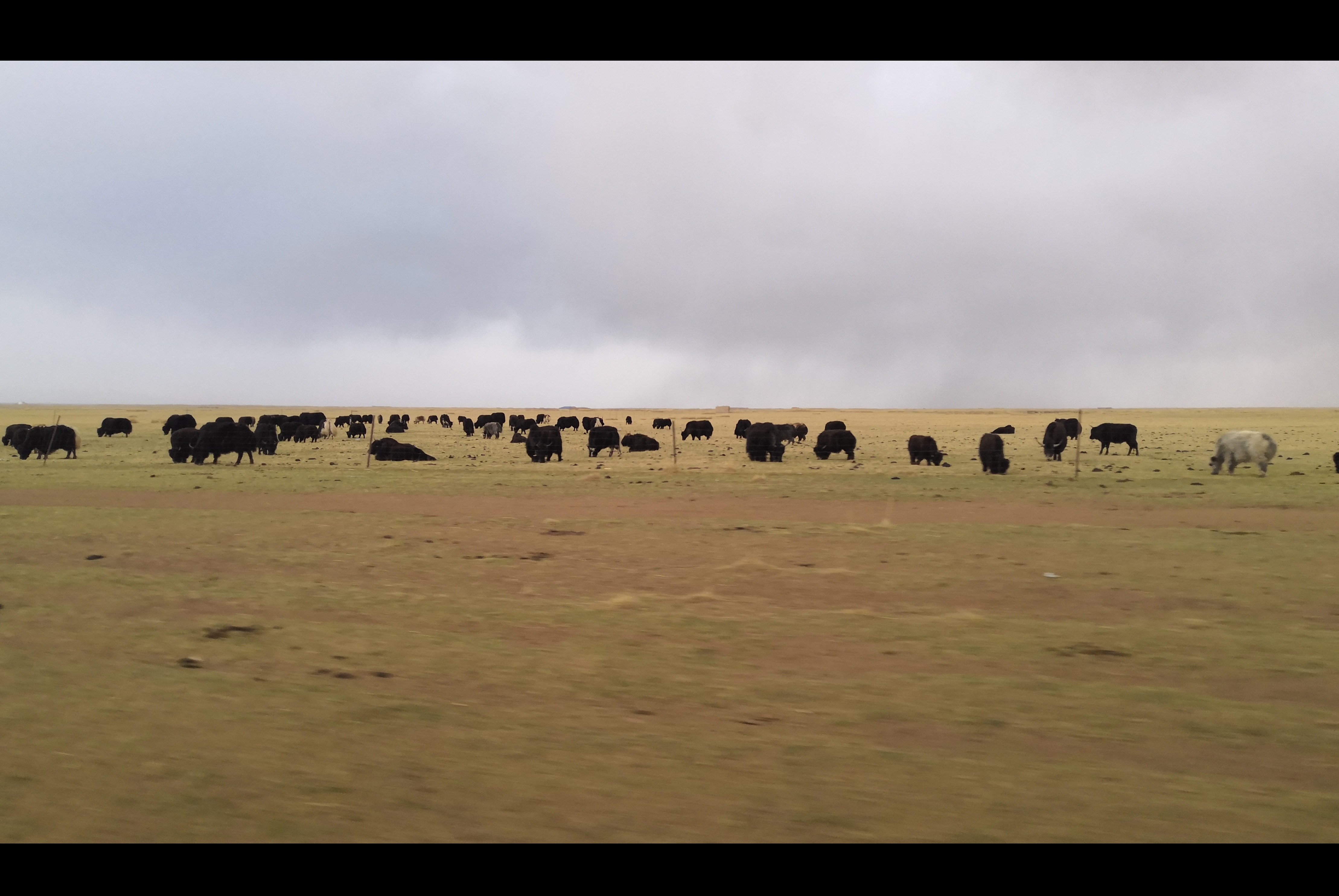 寒斐的個(gè)人主頁（封面預(yù)覽） - 主頁封面設(shè)置 - 站酷設(shè)計(jì)師寒斐原創(chuàng)素材 - 站酷ZCOOL