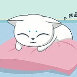 玄猫动画鱼的头像