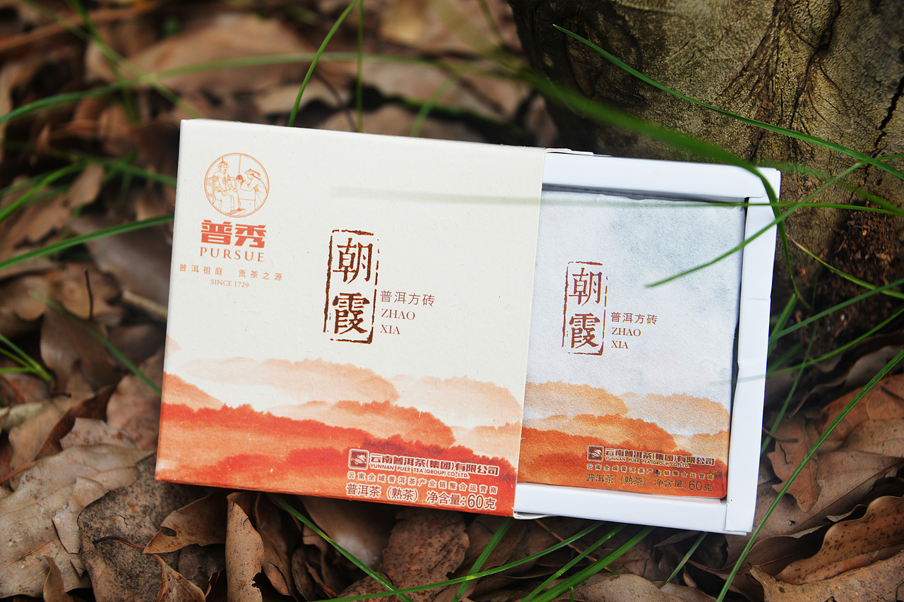 春露 、朝霞 普洱茶包装