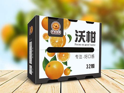 精品橘子包装设计