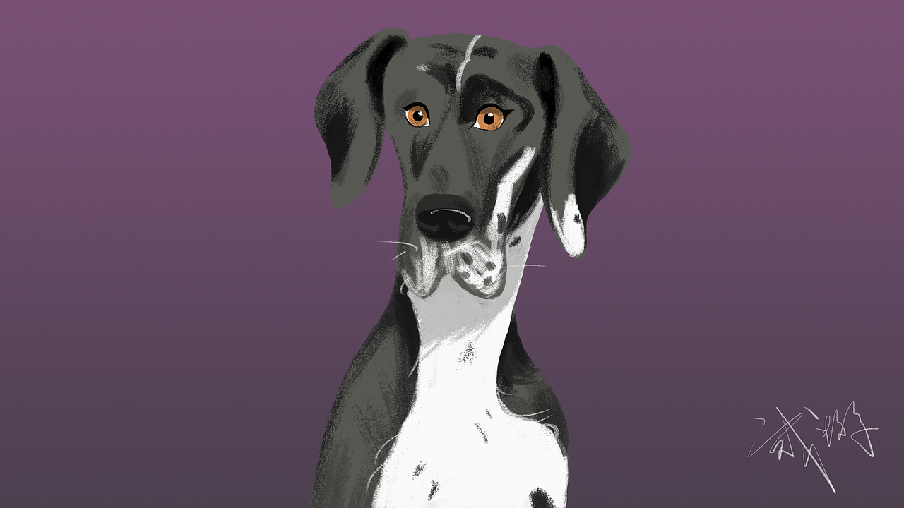 几张插画（图ZMTgyMTAwMDQ0） - 创作习作 - 站酷设计师贰蚴原创素材 - 站酷ZCOOL