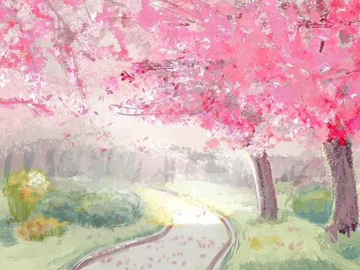 樱花雨