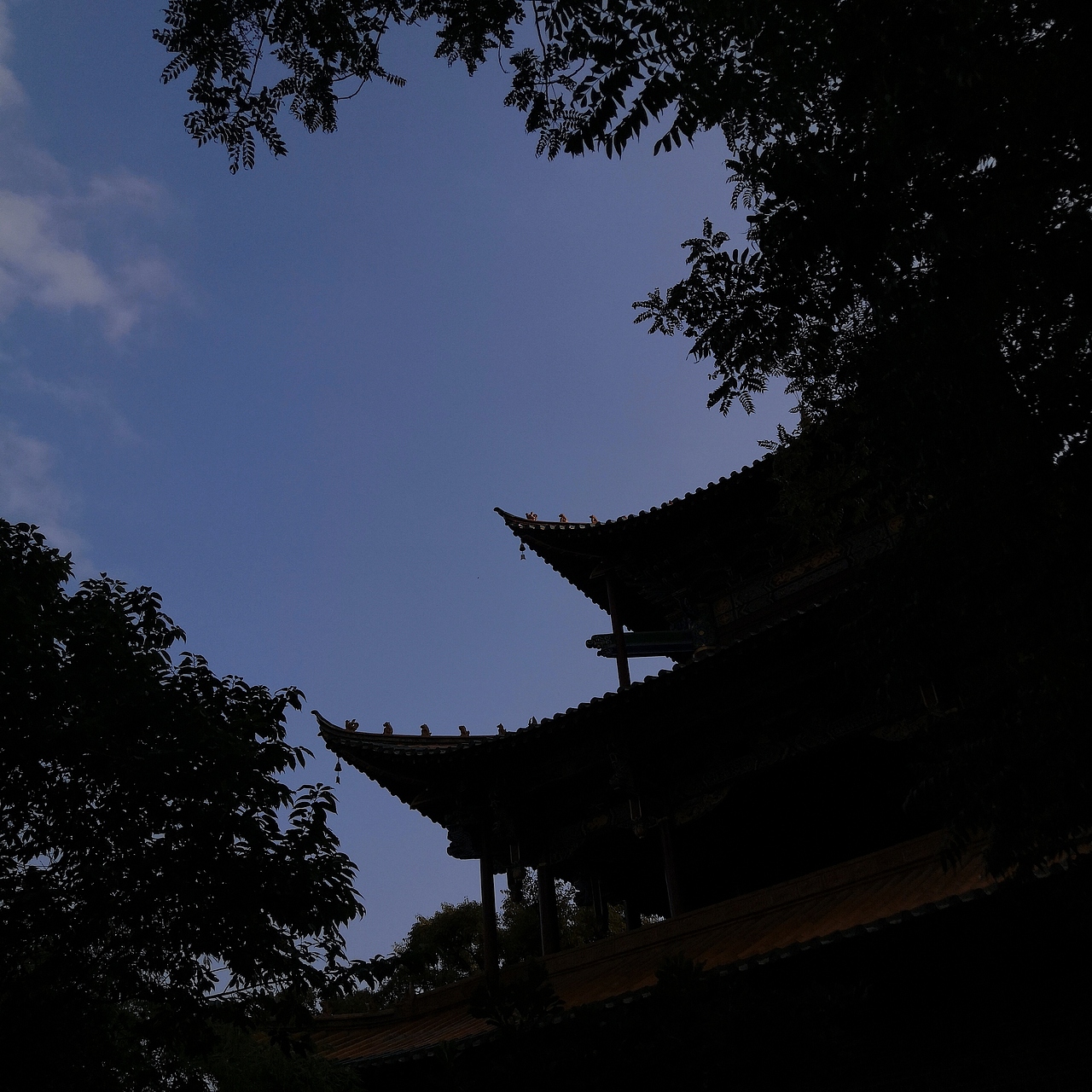 【生活记录】旅游集