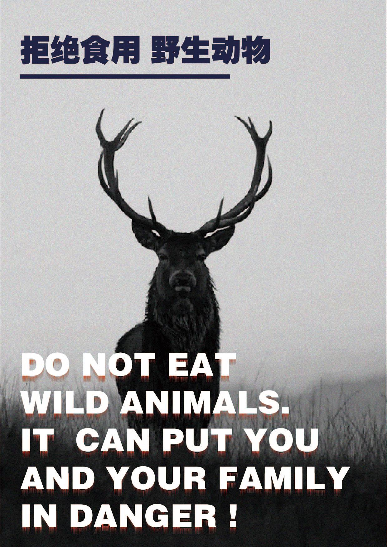 野生动物保护英语海报图片