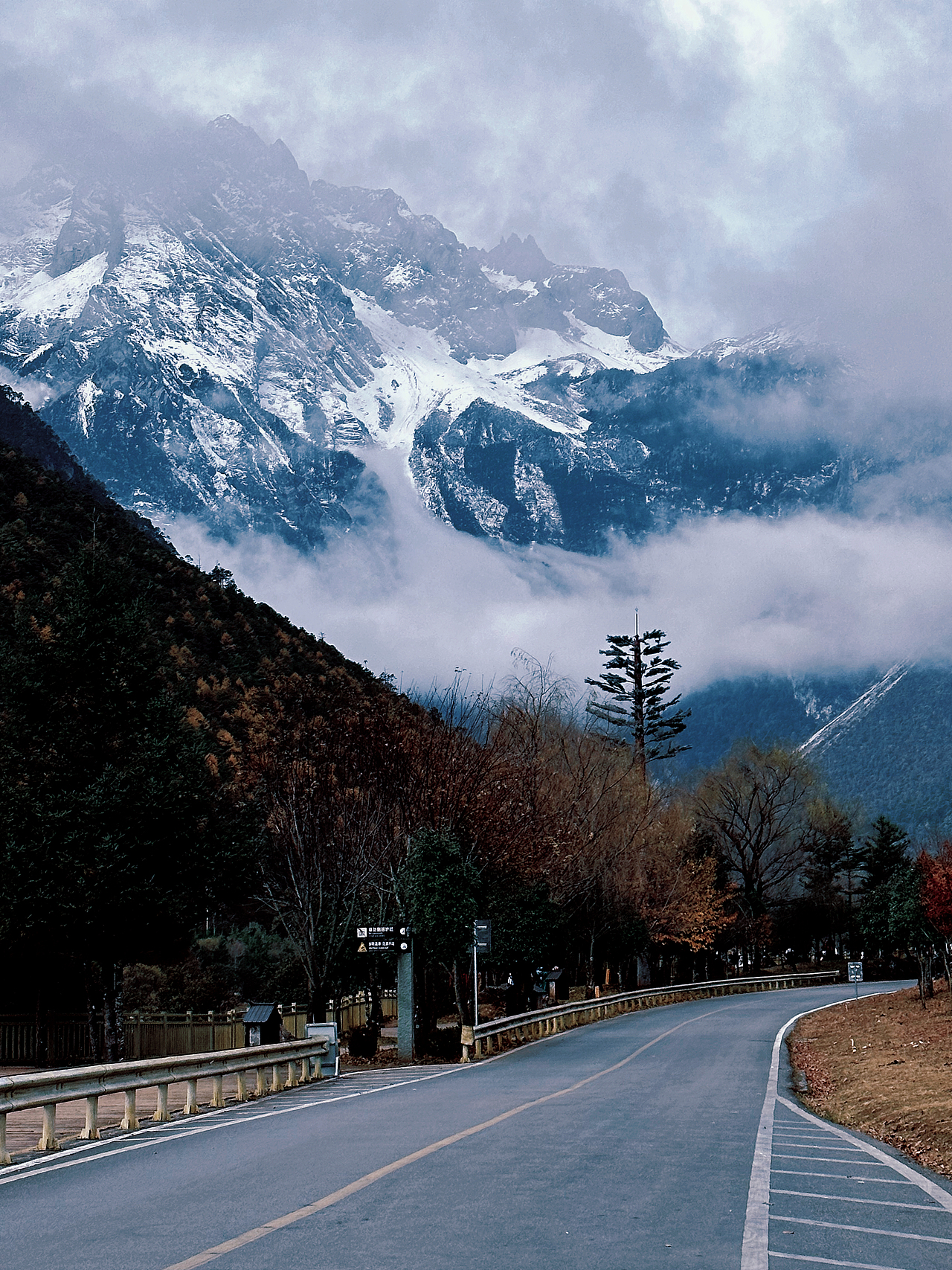 同望一片天空,为何好久不见