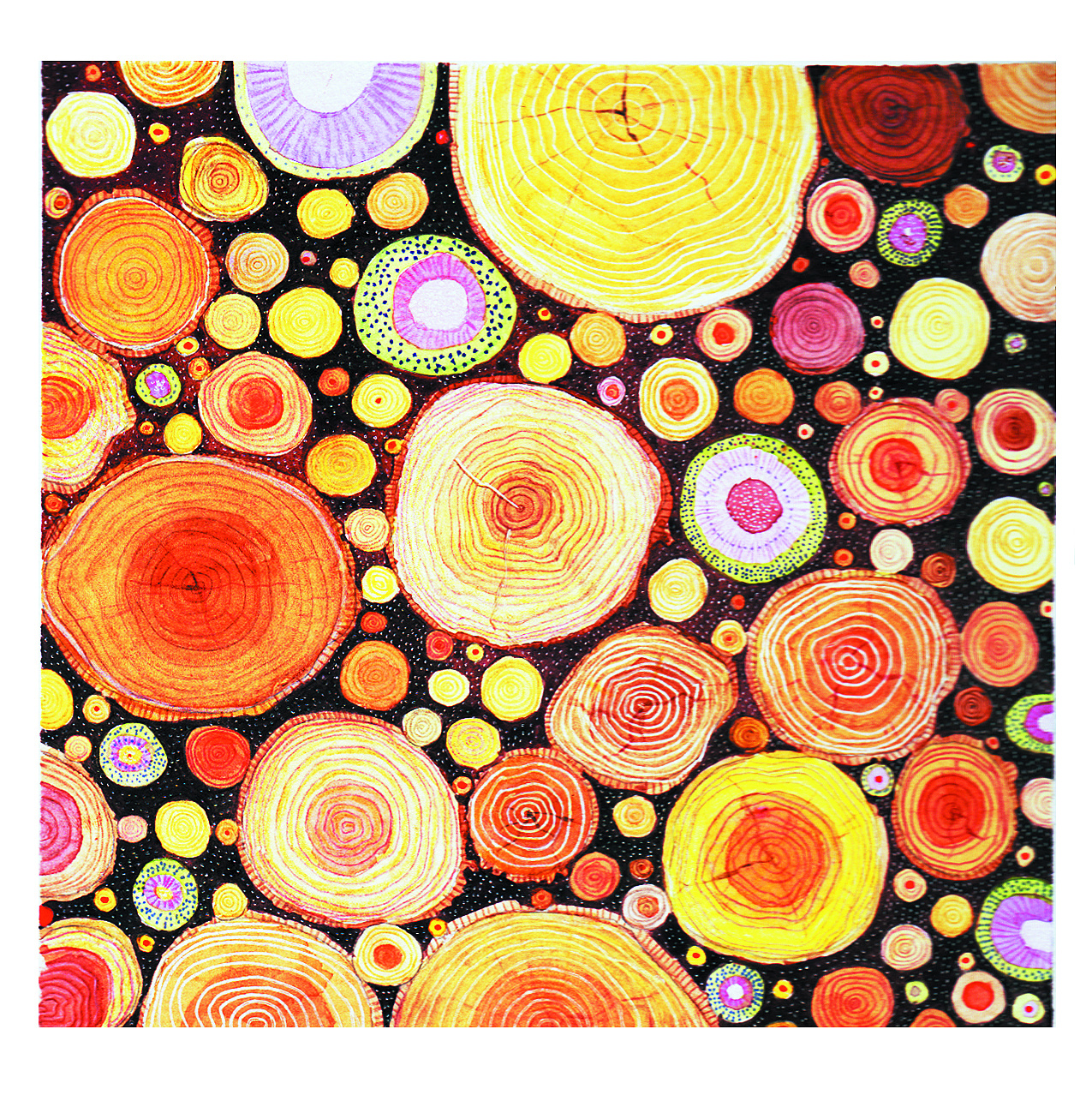 小树小树,你的年轮为什么这么好看吖?