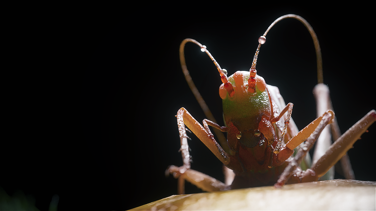 2019上半年个人创作总结