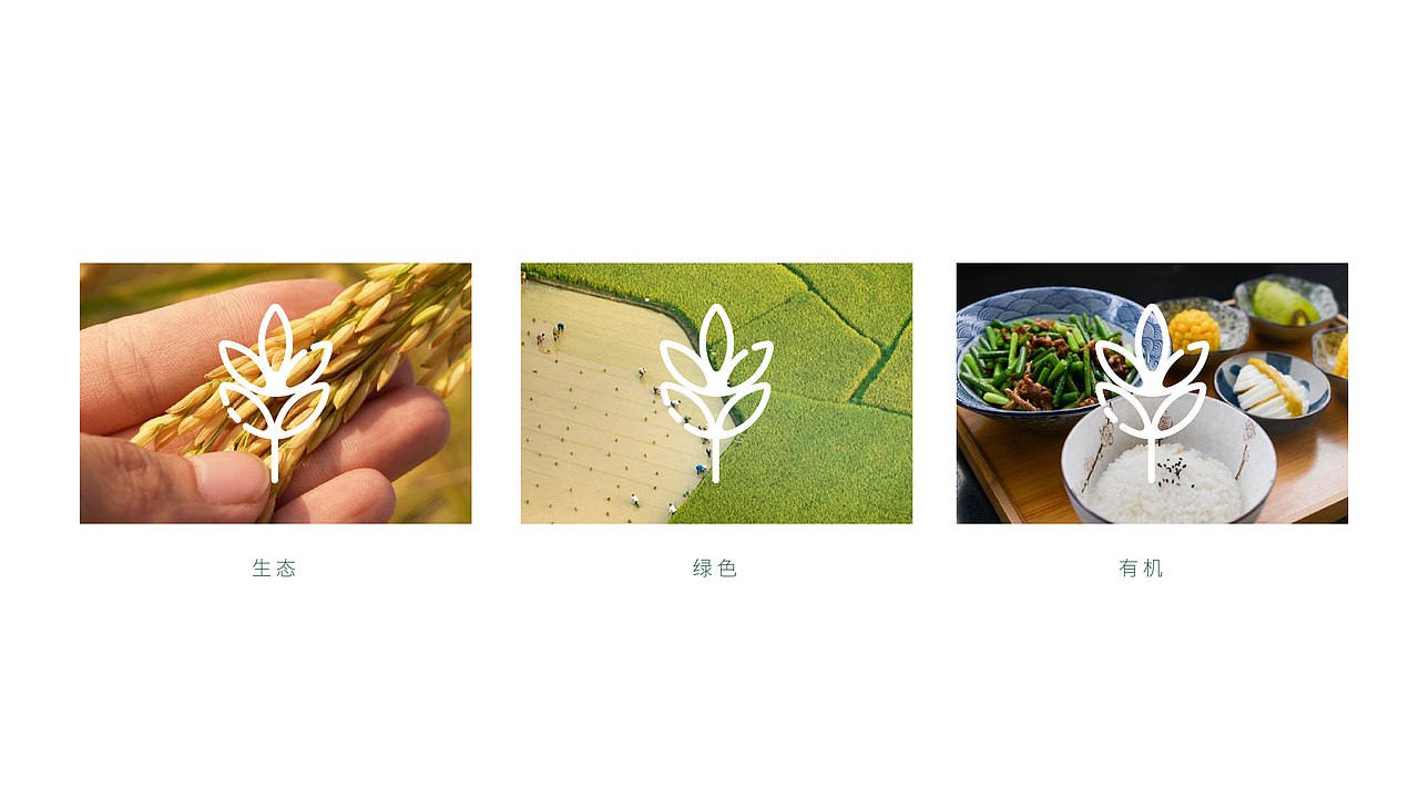 望田香品牌提案（图ZMjA1NTUxNzAw） - 品牌 - 站酷设计师鲸鱼不是怪原创素材 - 站酷ZCOOL