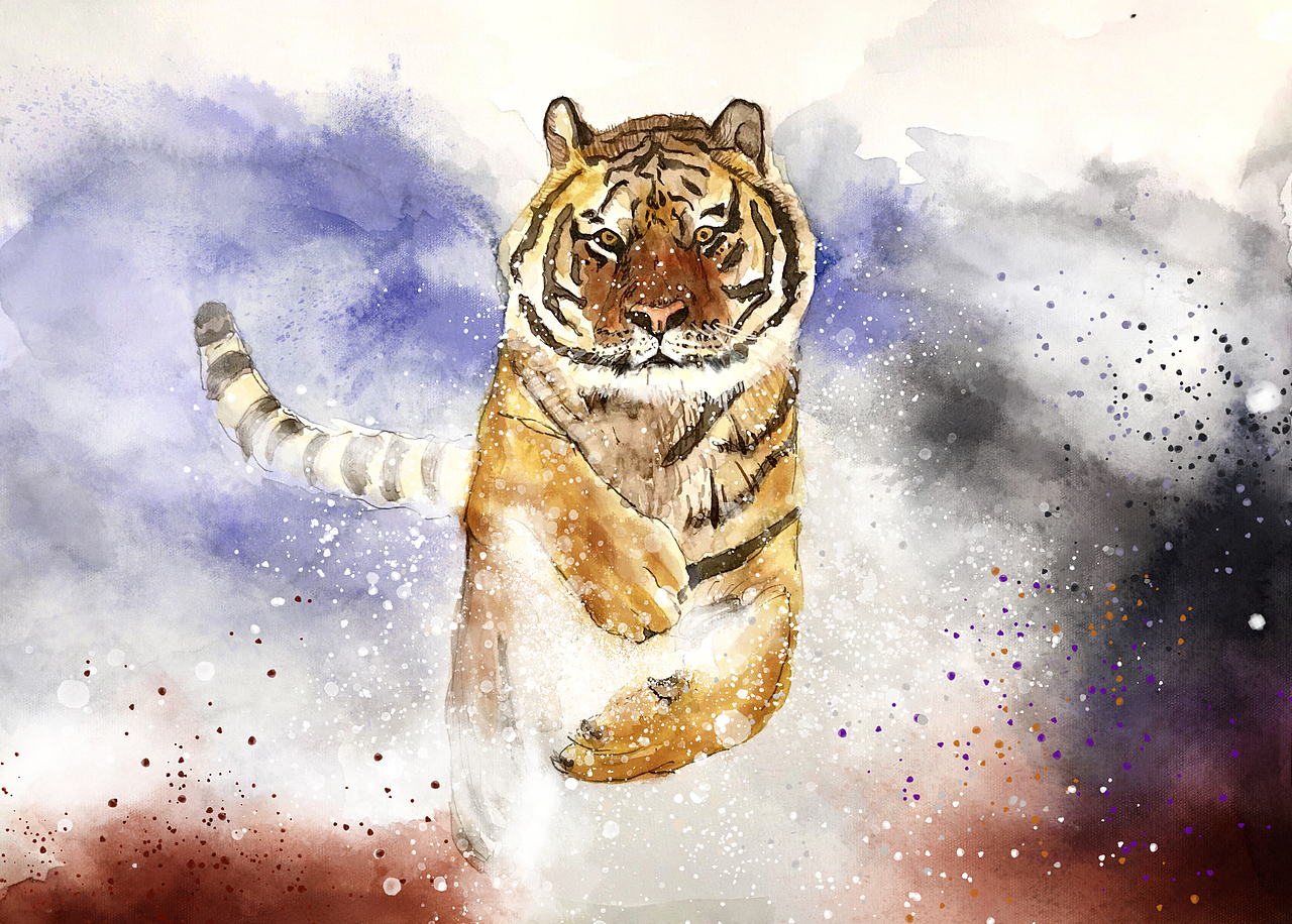 雪虎| 钢笔淡彩