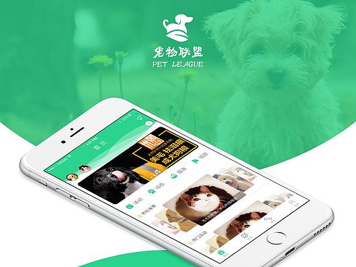 宠物联盟（个人主页-ZMjk0Mjc1ODA=） - 软件界面 - 站酷设计师sailong原创素材 - 站酷ZCOOL