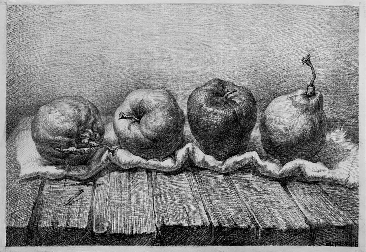 素描静物水果篇