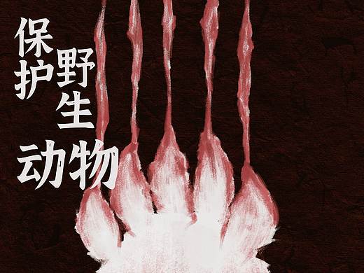 #地球守卫者#保护野生动物|公益插画海报