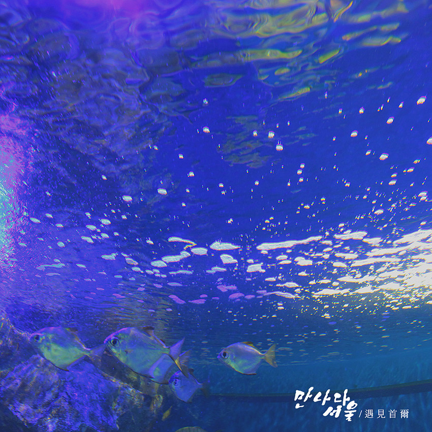 遇见首尔（图ZMTQ4Mjg1MTI=） - 风光摄影 - 站酷设计师星泽原创素材 - 站酷ZCOOL