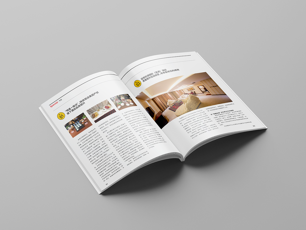 杂志（图ZMTkwOTUxNTQw） - 书籍/画册 - 站酷设计师浅水鱼儿原创素材 - 站酷ZCOOL