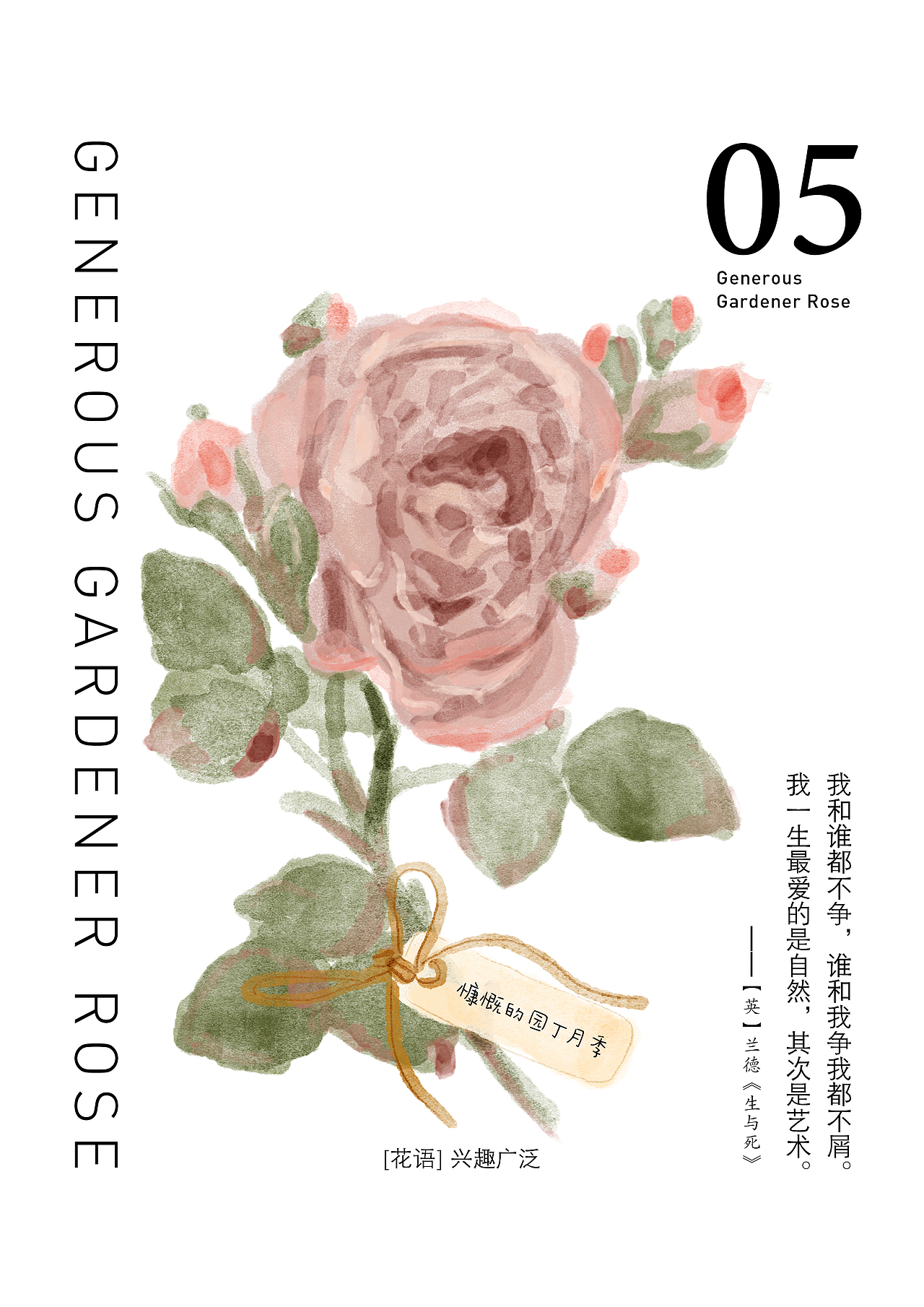 茶叶包装插画-那些奇怪名字的月季（图ZMjI0ODEwMDI4） - 创作习作 - 站酷设计师37点5原创素材 - 站酷ZCOOL