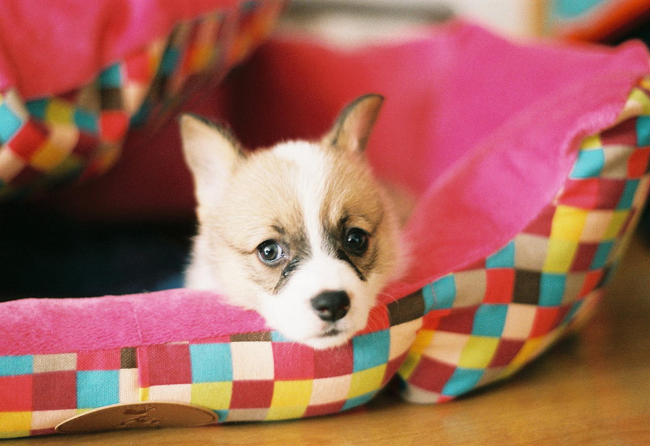 吴熙玮和他的胶片