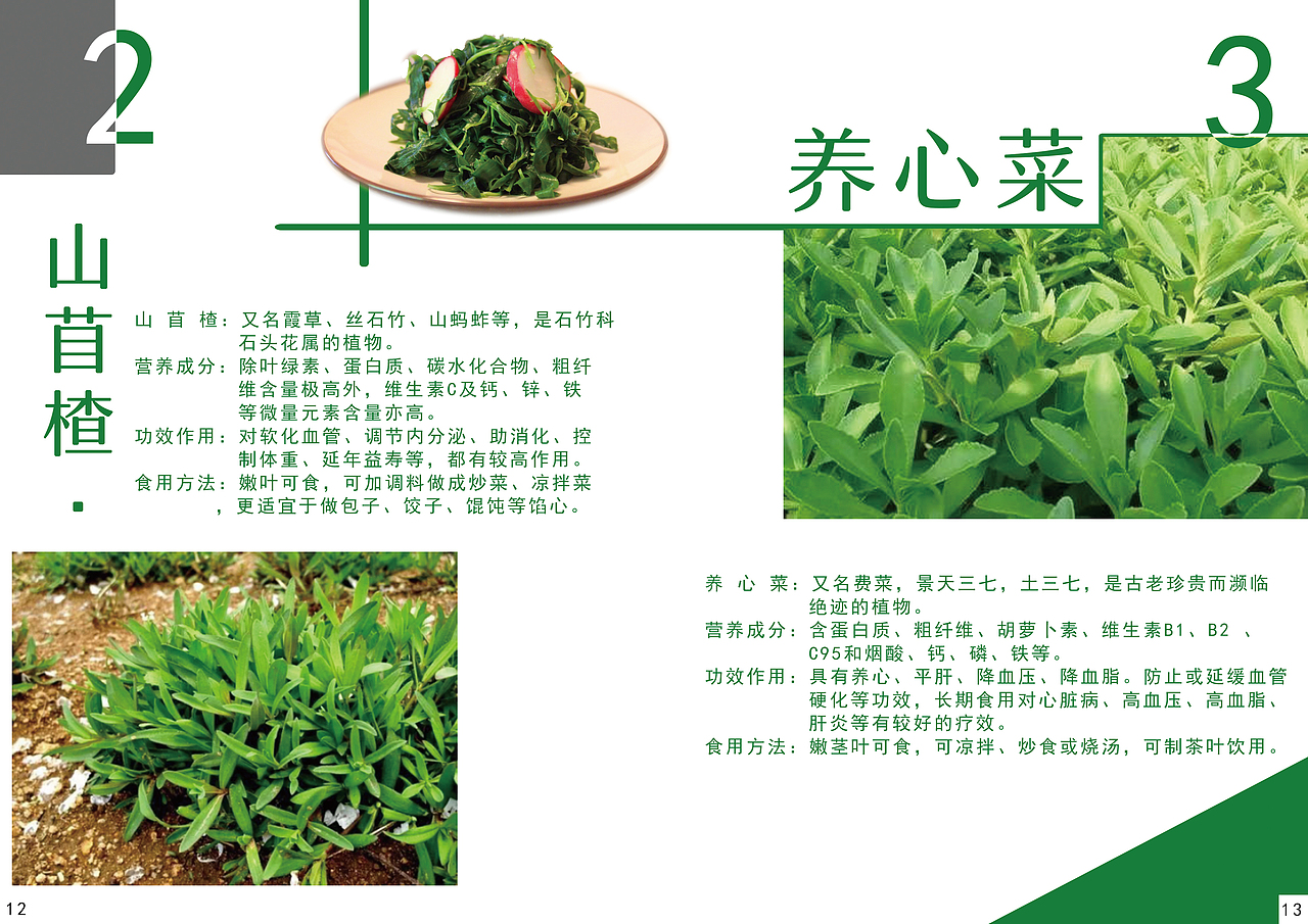 “山上有家”宣传册（图ZMTQ3MDEwMjQ0） - 宣传物料 - 站酷设计师Z76745990原创素材 - 站酷ZCOOL