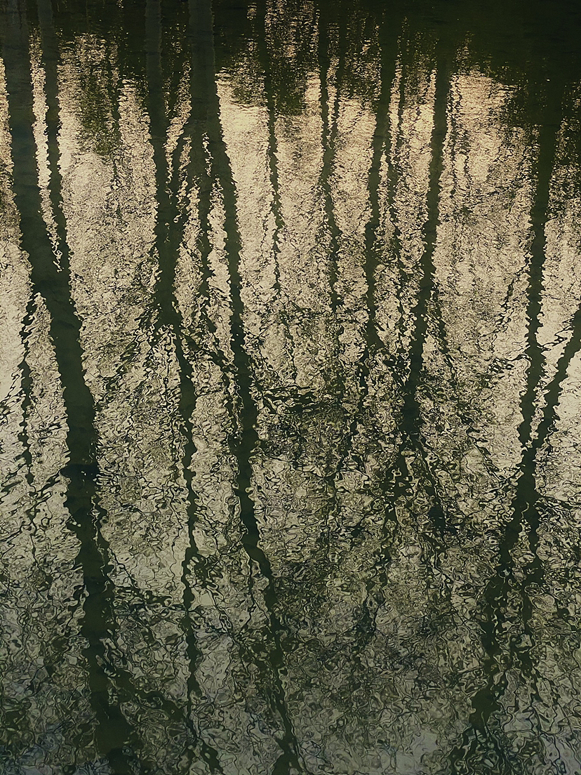 到学校取个快递