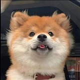 FaithI轩的头像