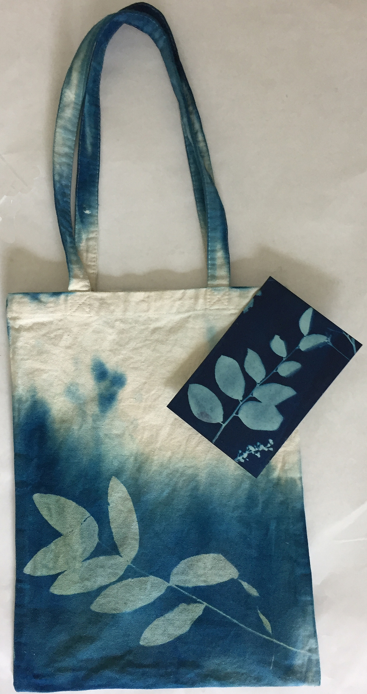 Cyanotype 蓝晒（图ZNTgyMTIxOTY=） - 图案 - 站酷设计师fangfangzhou原创素材 - 站酷ZCOOL