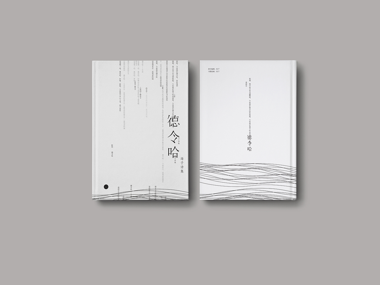 《德令哈》（图ZMjc3OTcwMDA=） - 书籍/画册 - 站酷设计师张少楠原创素材 - 站酷ZCOOL