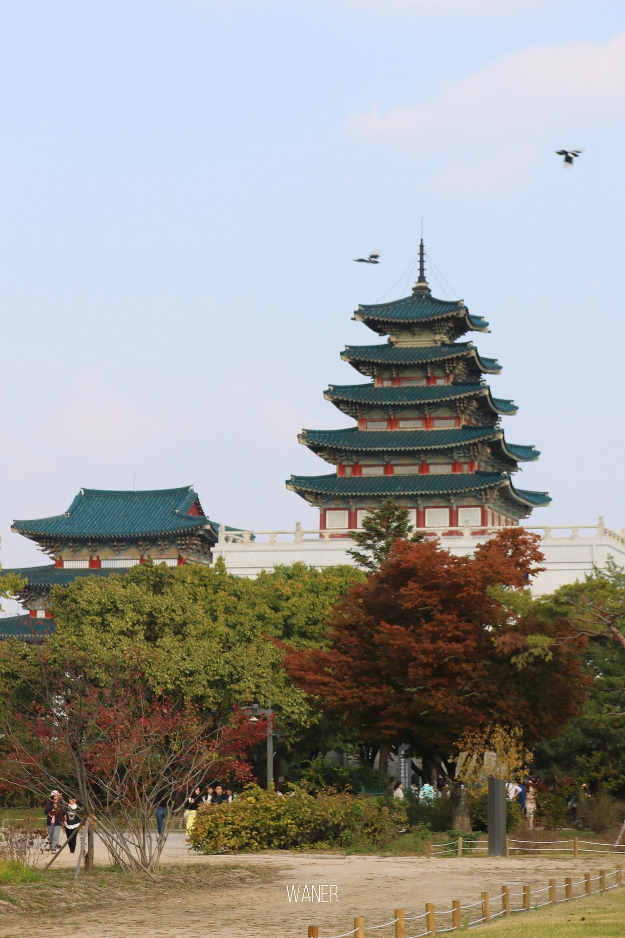 风光//首尔旅拍