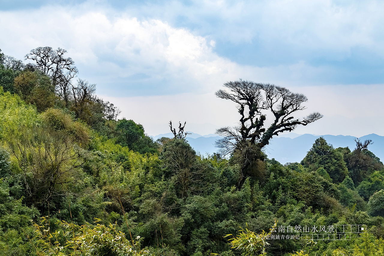 云南省临沧市凤庆县大河龙潭山姚青春自然风光山水风景游记36