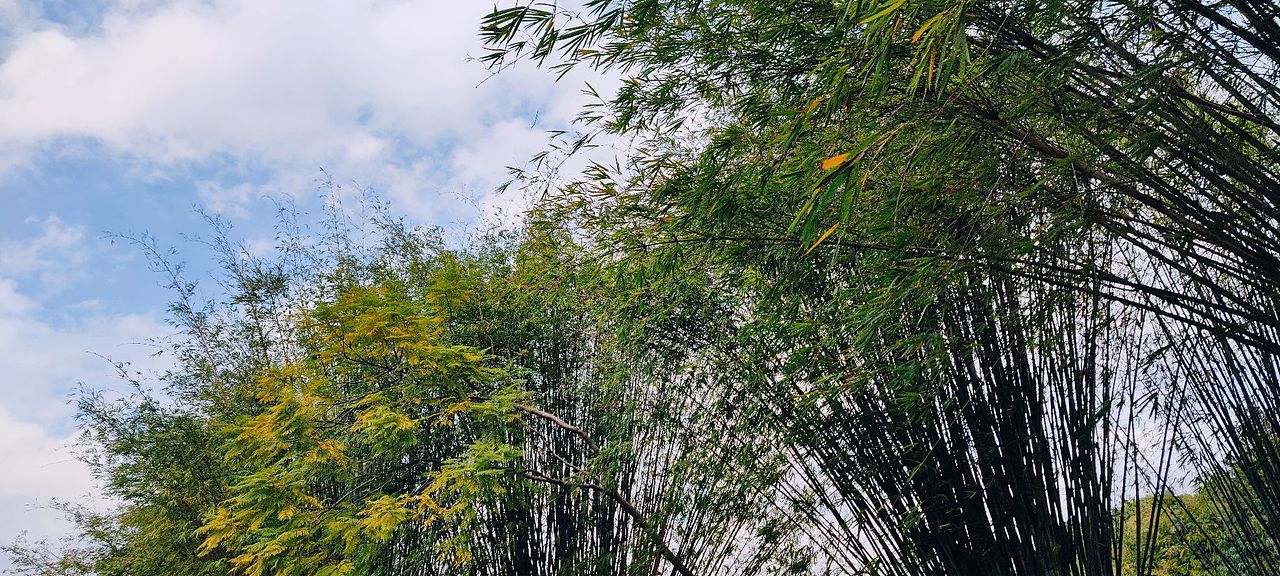 随性天空（图ZMzMwNjgyNjk2） - 风光摄影 - 站酷设计师LyleL原创素材 - 站酷ZCOOL