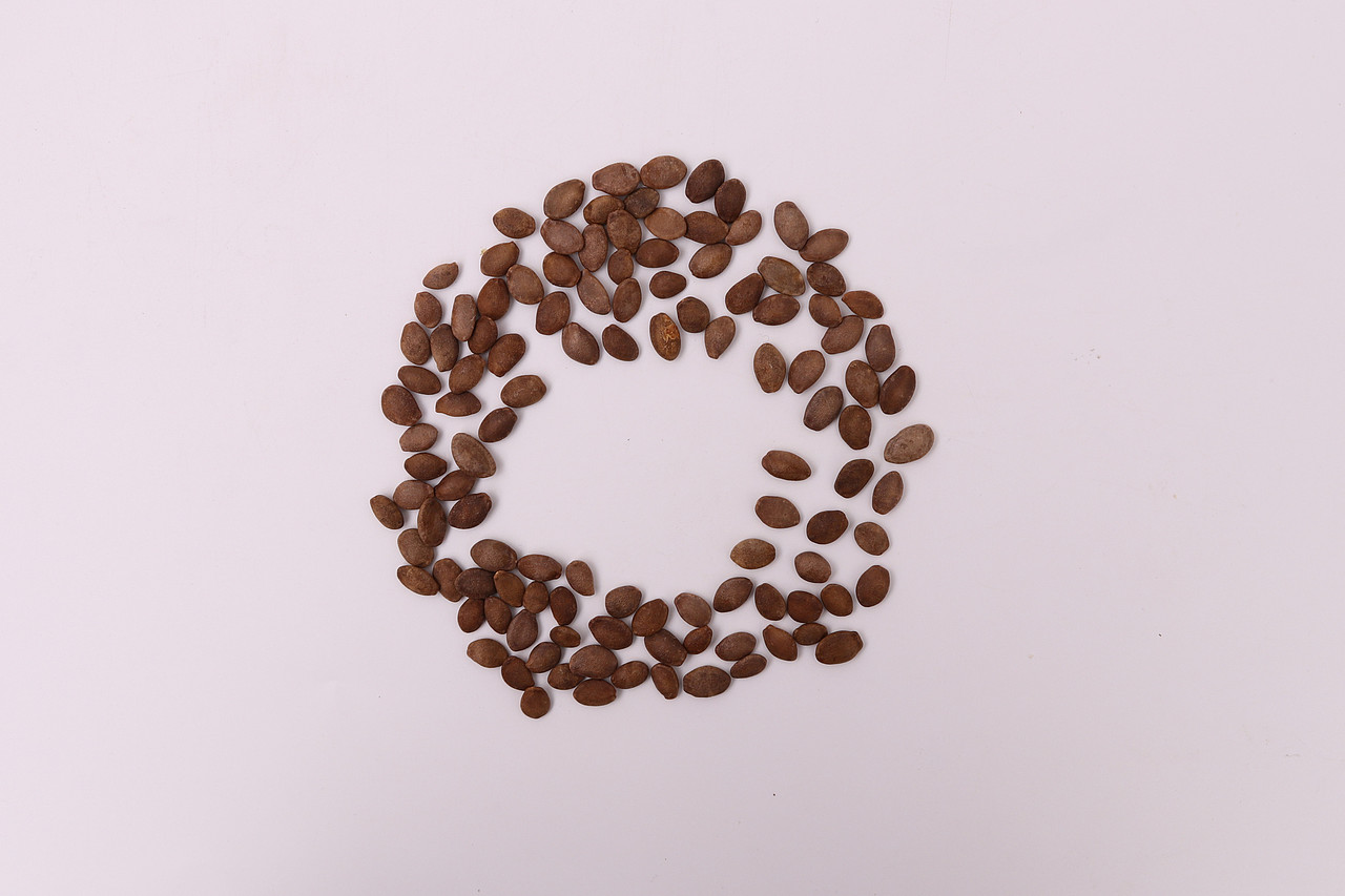 B08零食\C07-坚果炒货\V17瓜蒌子X1-QM