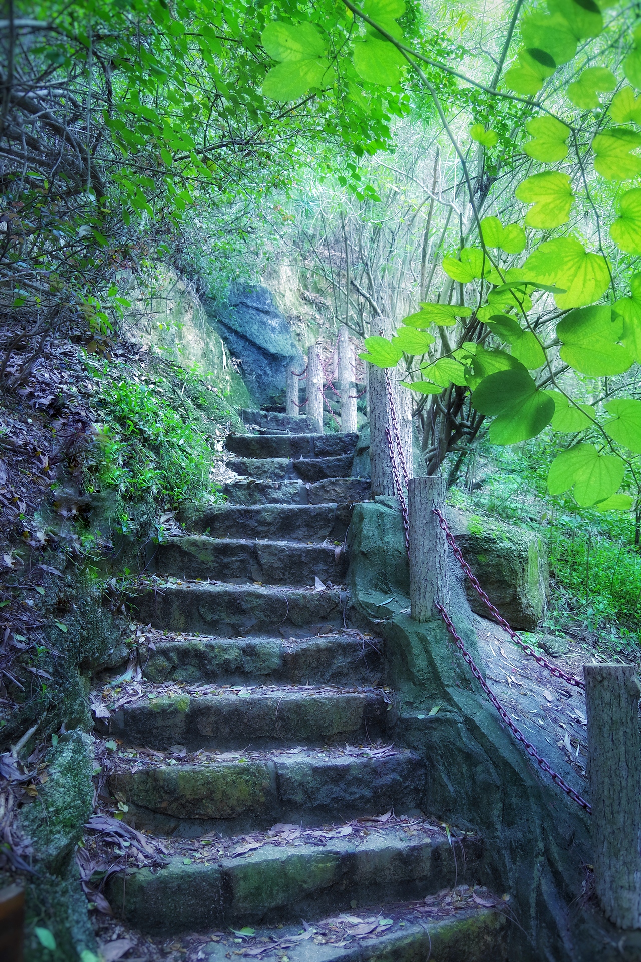 深圳国际花卉中心（图ZNjk0MzExMDA=） - 风光摄影 - 站酷设计师chenzehui原创素材 - 站酷ZCOOL