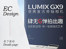 Panasonic-LUMIXGX9详情页