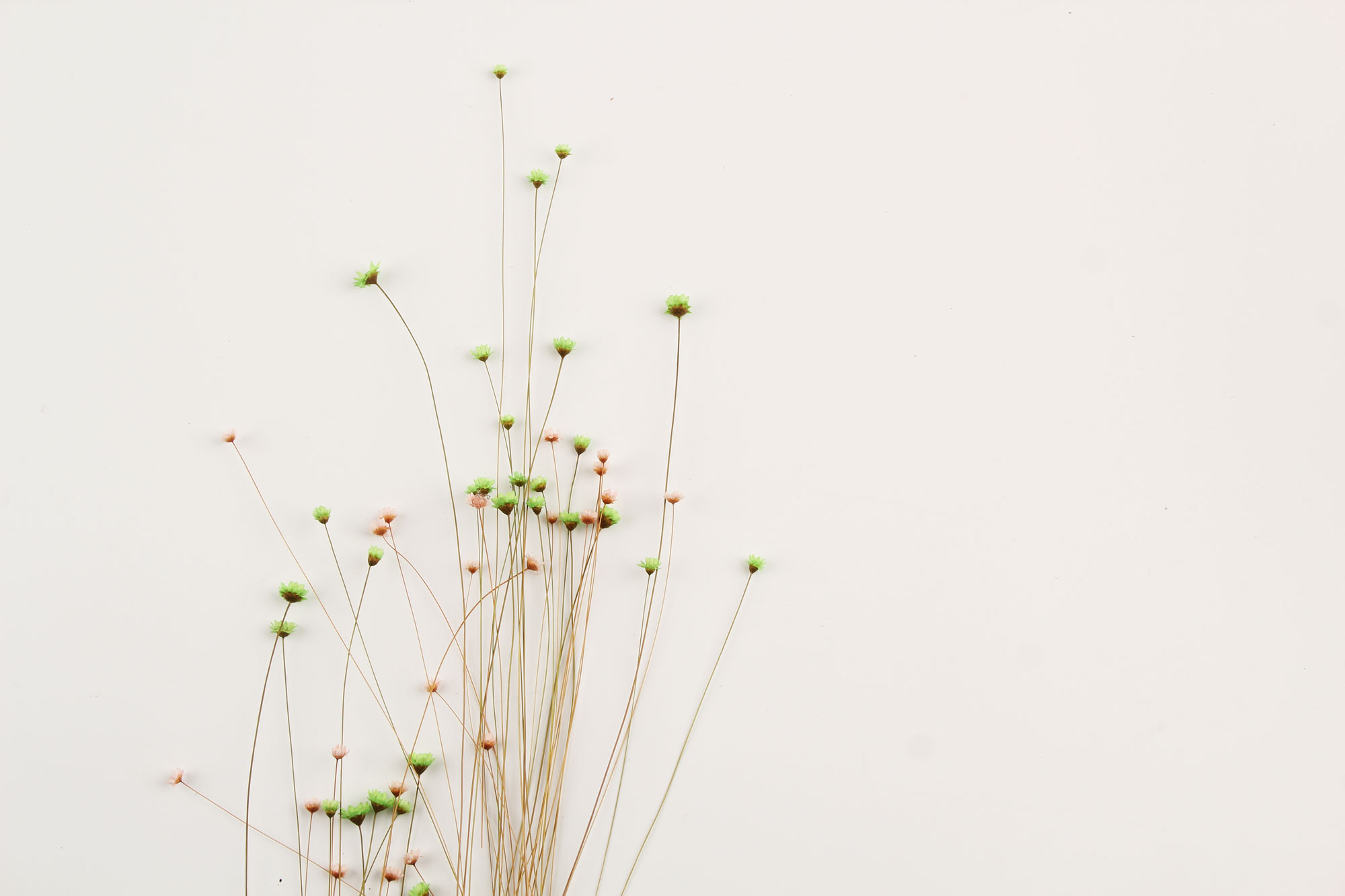 深巷depth的个人主页（封面预览） - 主页封面设置 - 站酷设计师深巷depth原创素材 - 站酷ZCOOL