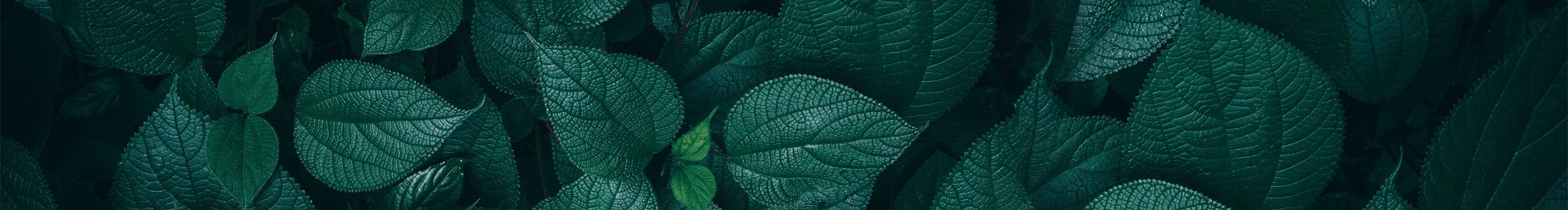 转念之间的个人主页（封面预览） - 主页封面设置 - 站酷设计师转念之间原创素材 - 站酷ZCOOL