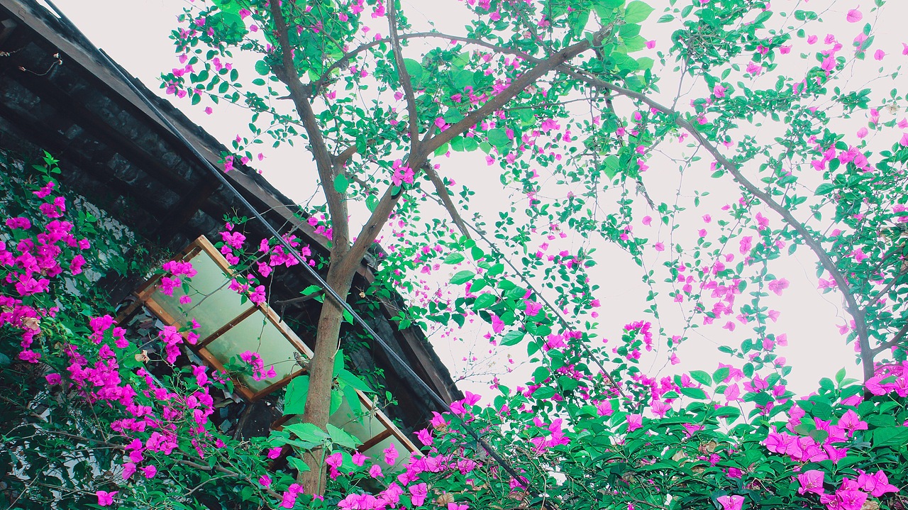 我们径自认为的所有意义（图ZNTA2NDMwODA=） - 风光摄影 - 站酷设计师阿肉_原创素材 - 站酷ZCOOL