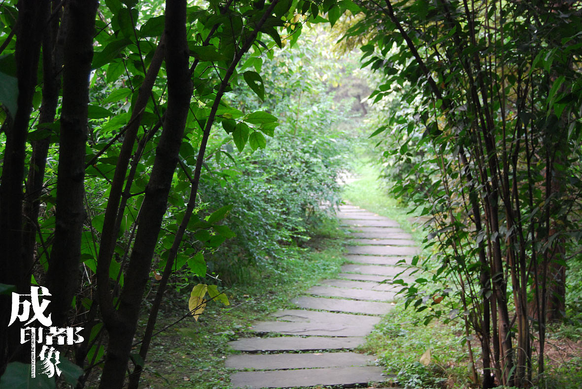 成都印象（2）原创（图ZMjM3MDA4） - 风光摄影 - 站酷设计师马强原创素材 - 站酷ZCOOL