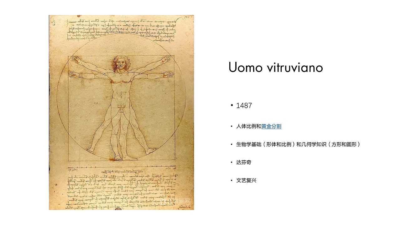 视觉意像-维特鲁威人