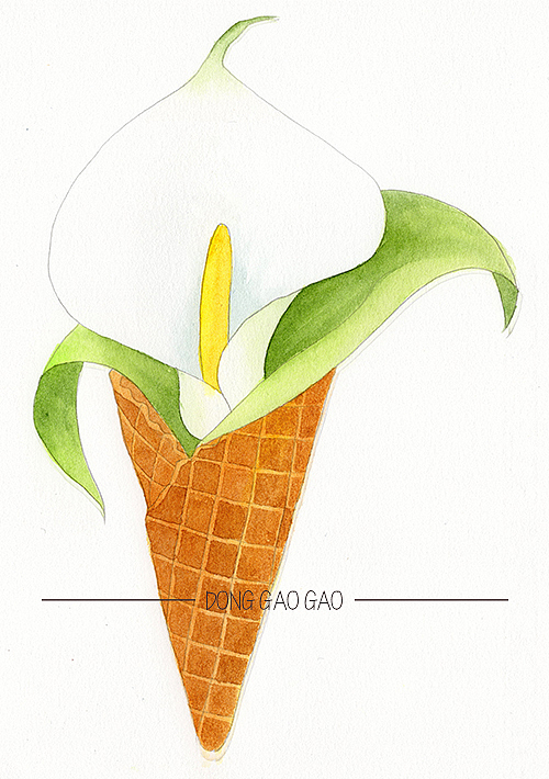 水彩手绘冰激凌花筒-马蹄莲