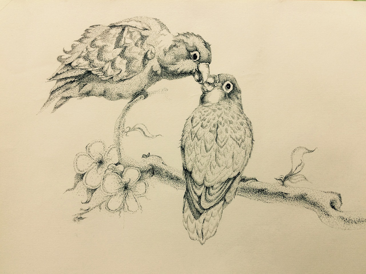 随心点点——牡丹鹦鹉（图ZMzg2MjAwNjA=） - 创作习作 - 站酷设计师kiahoo原创素材 - 站酷ZCOOL