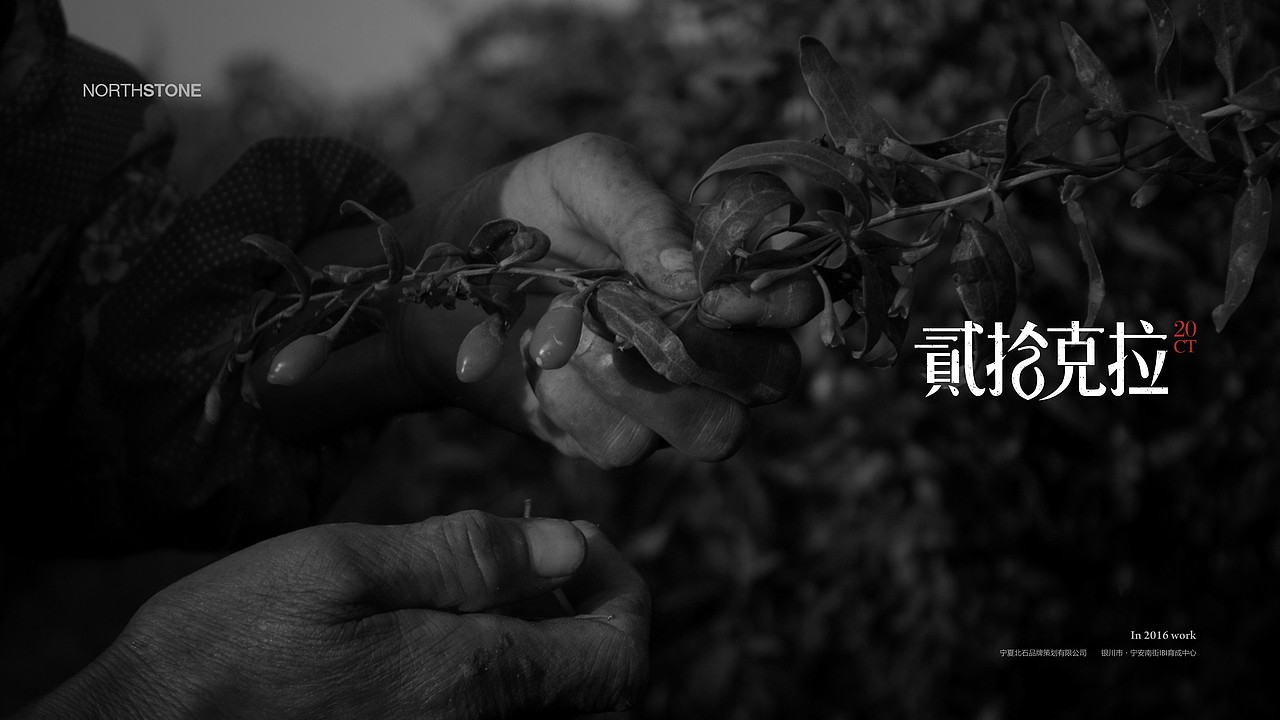 二十一克拉-枸杞