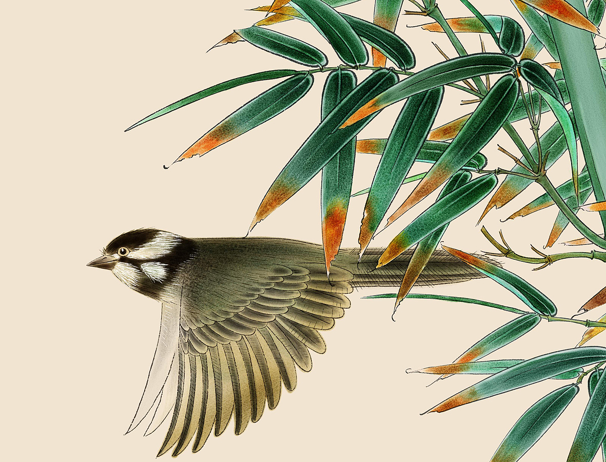 纯painter软件手绘工笔花鸟国画青竹飞鸟图