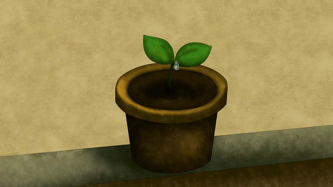 毕设《An Old Man》