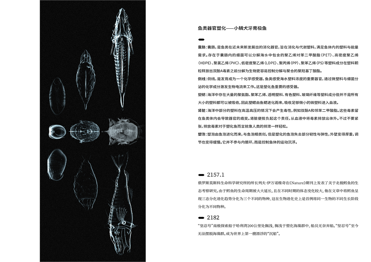【毕业设计】实验性文本 「超然」存在于我体内（图ZMjU2MjkxODY0） - 书籍/画册 - 站酷设计师Hikariii原创素材 - 站酷ZCOOL