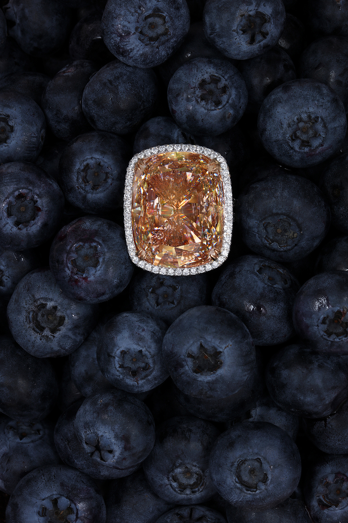 lunch-顶级珠宝创意广告