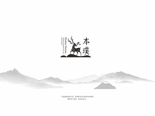 本璞健康调理