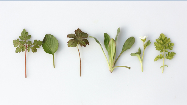 方人也am的個(gè)人主頁（背景預(yù)覽） - 主頁背景設(shè)置 - 站酷設(shè)計(jì)師方人也am原創(chuàng)素材 - 站酷ZCOOL