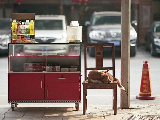 重庆日常（胶片）（个人主页-ZMzE2NDE1MzY=） - 人文/纪实摄影 - 站酷设计师苏Prise_原创素材 - 站酷ZCOOL