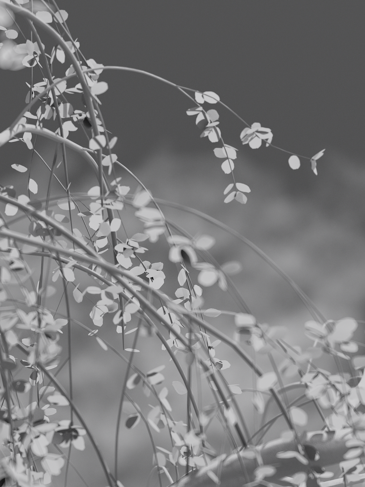 近期OC渲染练习（图ZMzMzMTAwNjky） - 其他三维 - 站酷设计师白彦小小仙原创素材 - 站酷ZCOOL